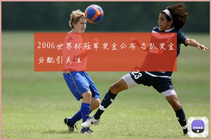 2006世界杯冠军奖金公布 各队奖金分配引关注