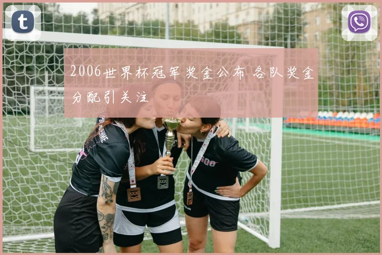 2006世界杯冠军奖金公布 各队奖金分配引关注